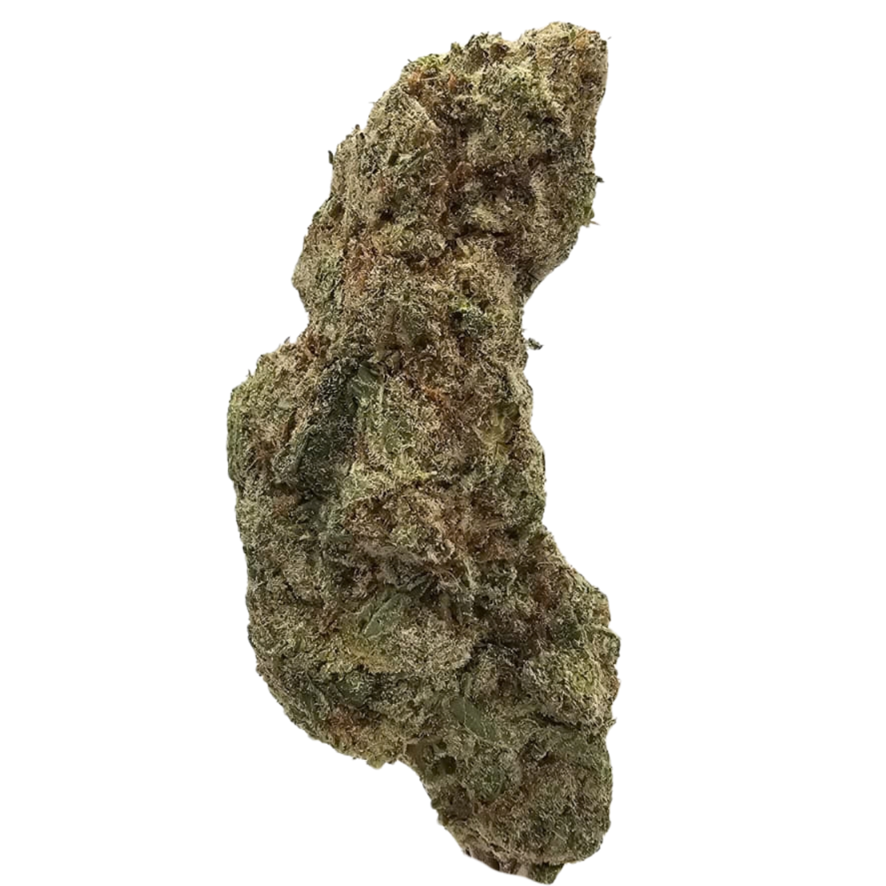 Grape Stomper THCA Tea Flower from Kushte, displaying its distinctive long, thin and elongated flower structure with a grape-led aroma backed by dark berry, floral, earthy and lightly fuelled notes.