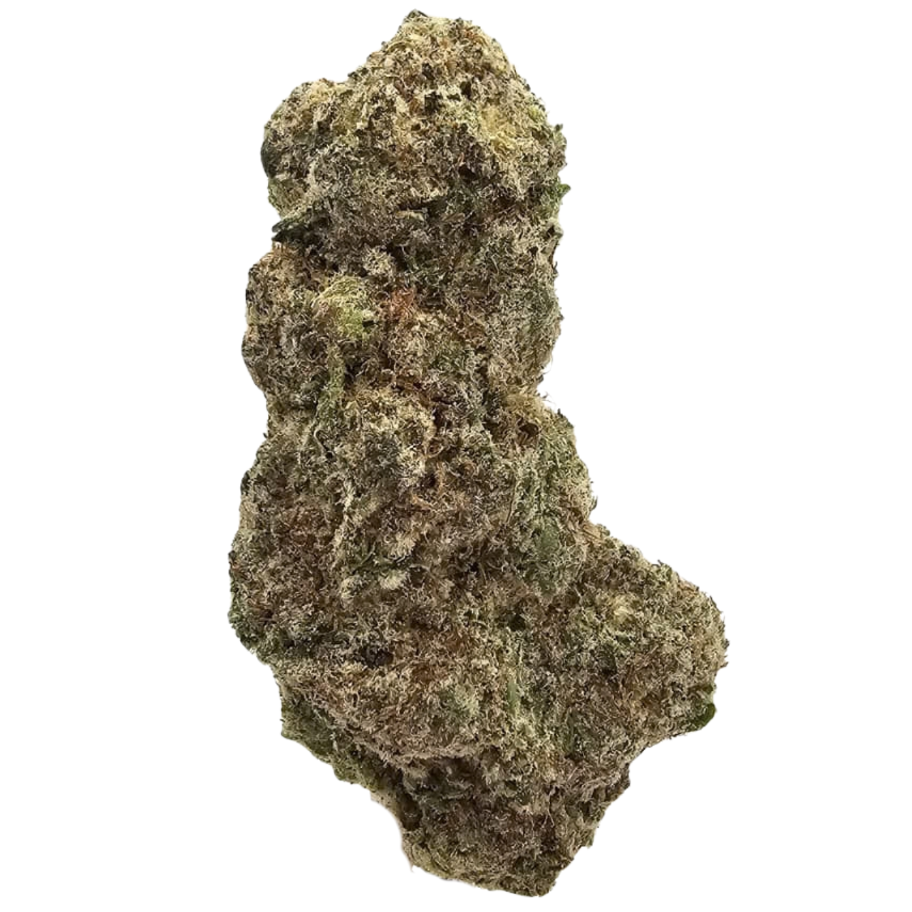 Grape Stomper THCA Tea Flower from Kushte, displaying its distinctive long, thin and elongated flower structure with a grape-led aroma backed by dark berry, floral, earthy and lightly fuelled notes.