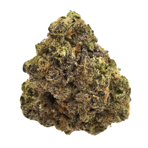 Ice Cream Man THCA tea flower displaying dense green flowers with a frosty crystalline coating and fine orange pistils.