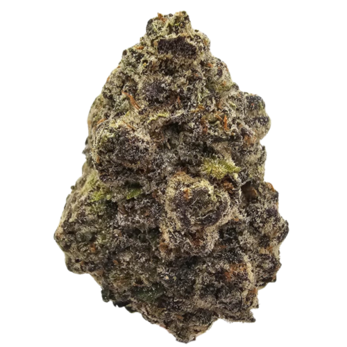 Krypton THCA Tea Flower from Kushte, displaying dark forest green colouring and heavy silver trichome coverage, with an aromatic profile characterised by sweet fuel, sharp chemical gas and subtle earthy Kush.