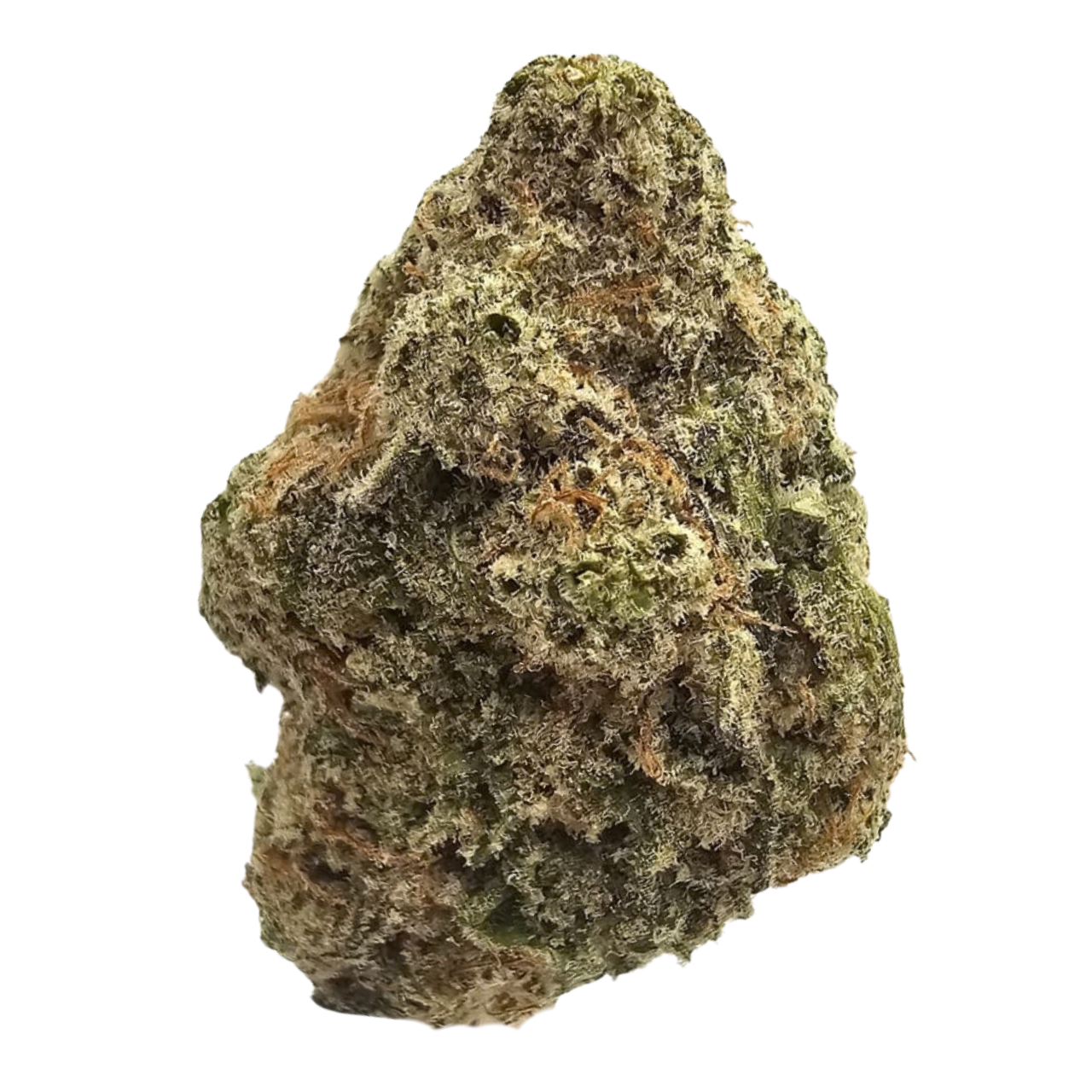 MAC Cream THCA Tea Flower featuring dense, frosted flowers with green tones and orange pistils.