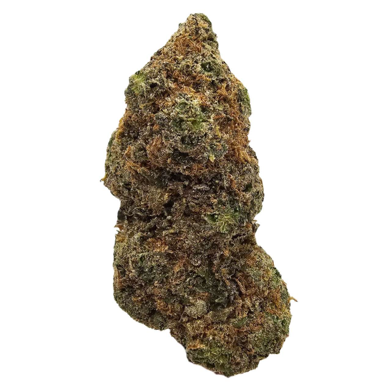Mimosa THCA tea flower displaying vibrant green buds, orange pistils and a frosty trichome coating.