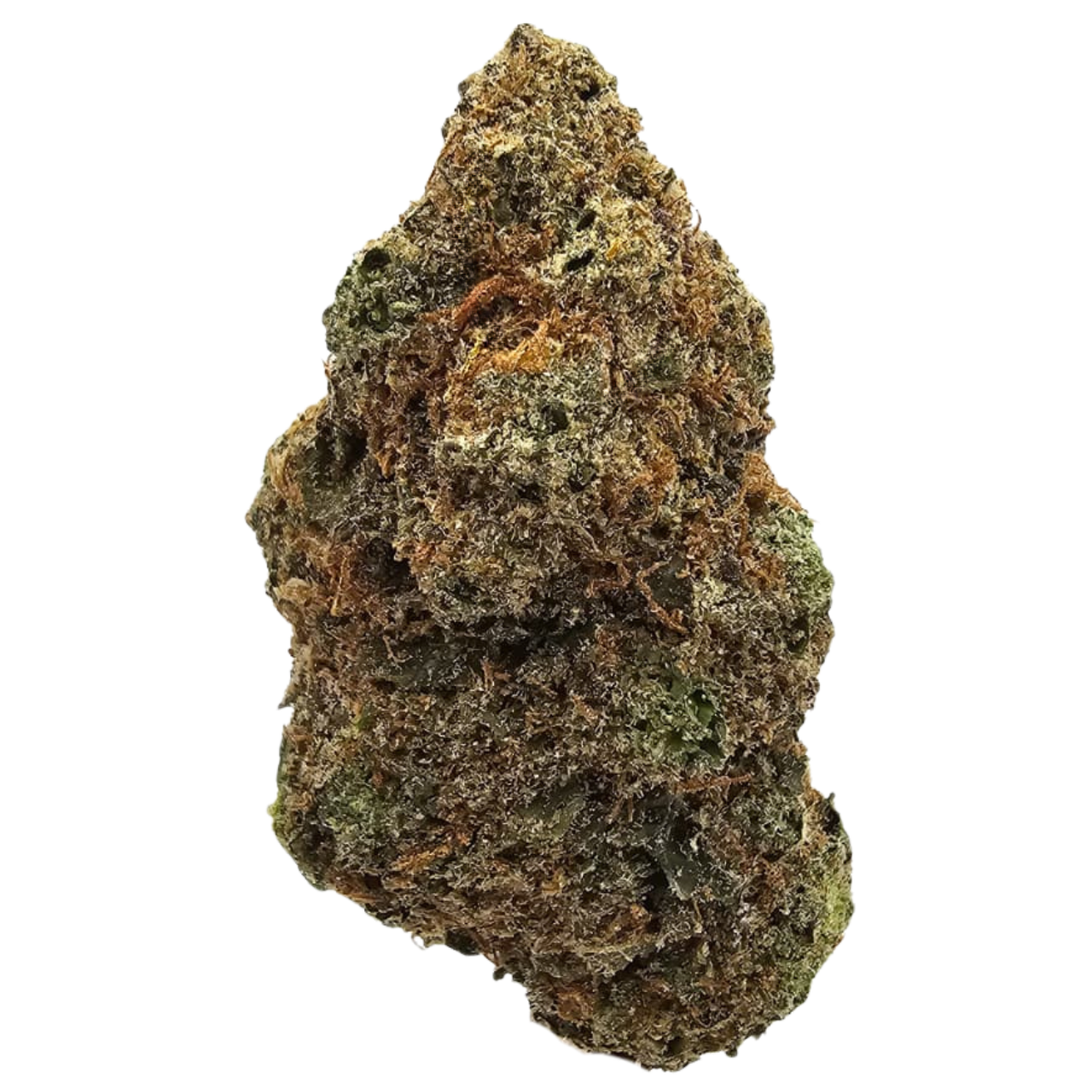 Mimosa THCA tea flower displaying vibrant green buds, orange pistils and a frosty trichome coating.
