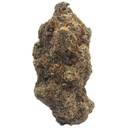 Raspberry Kush THCA tea flower from Kushte, featuring a layered aromatic profile of ripe raspberries, creamy undertones, earthy Kush, subtle woody notes and herbal spice.