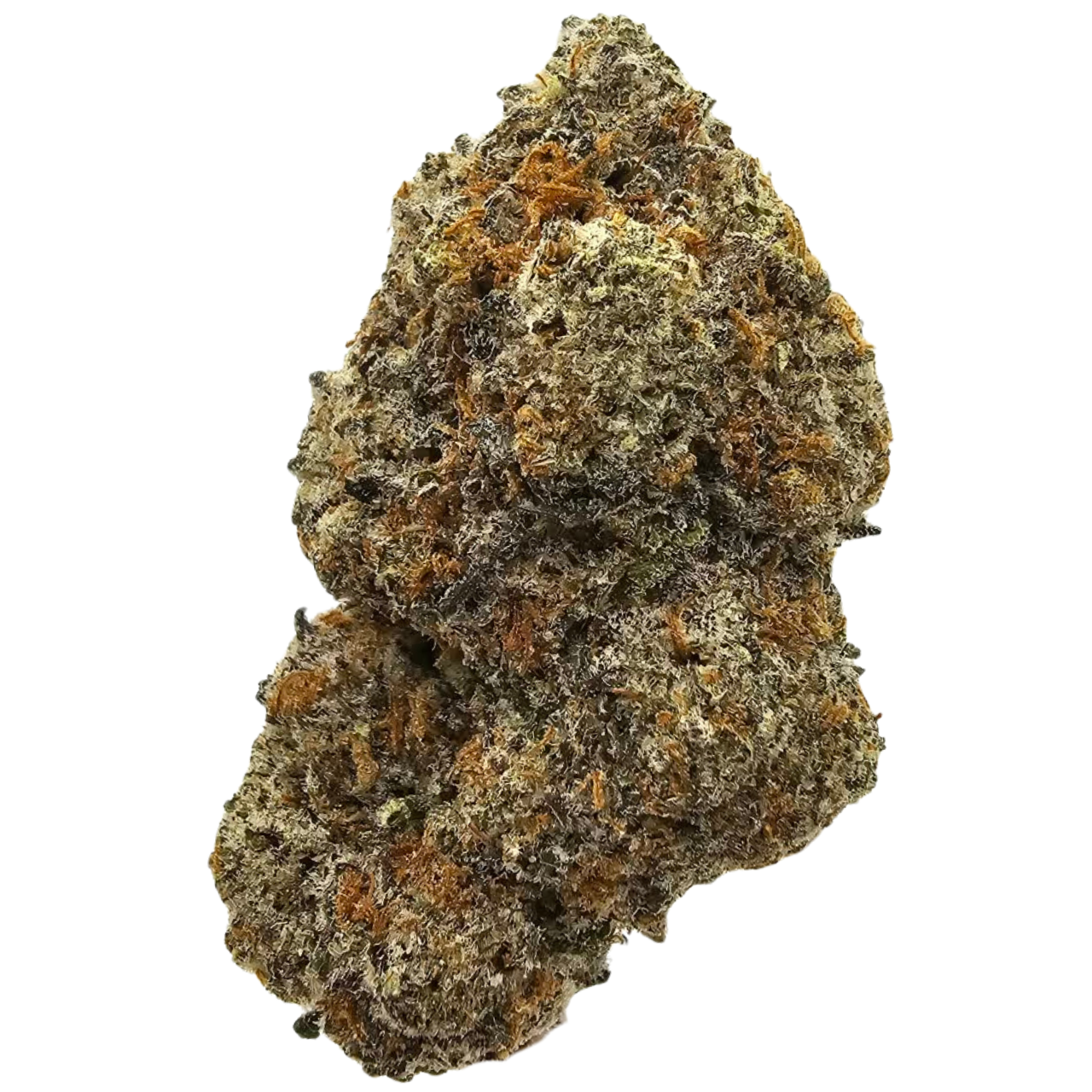 Sensi Star THCA flower, a classic indica-dominant strain with a deep earthy, grassy and herbal aroma complemented by subtle woody spice.