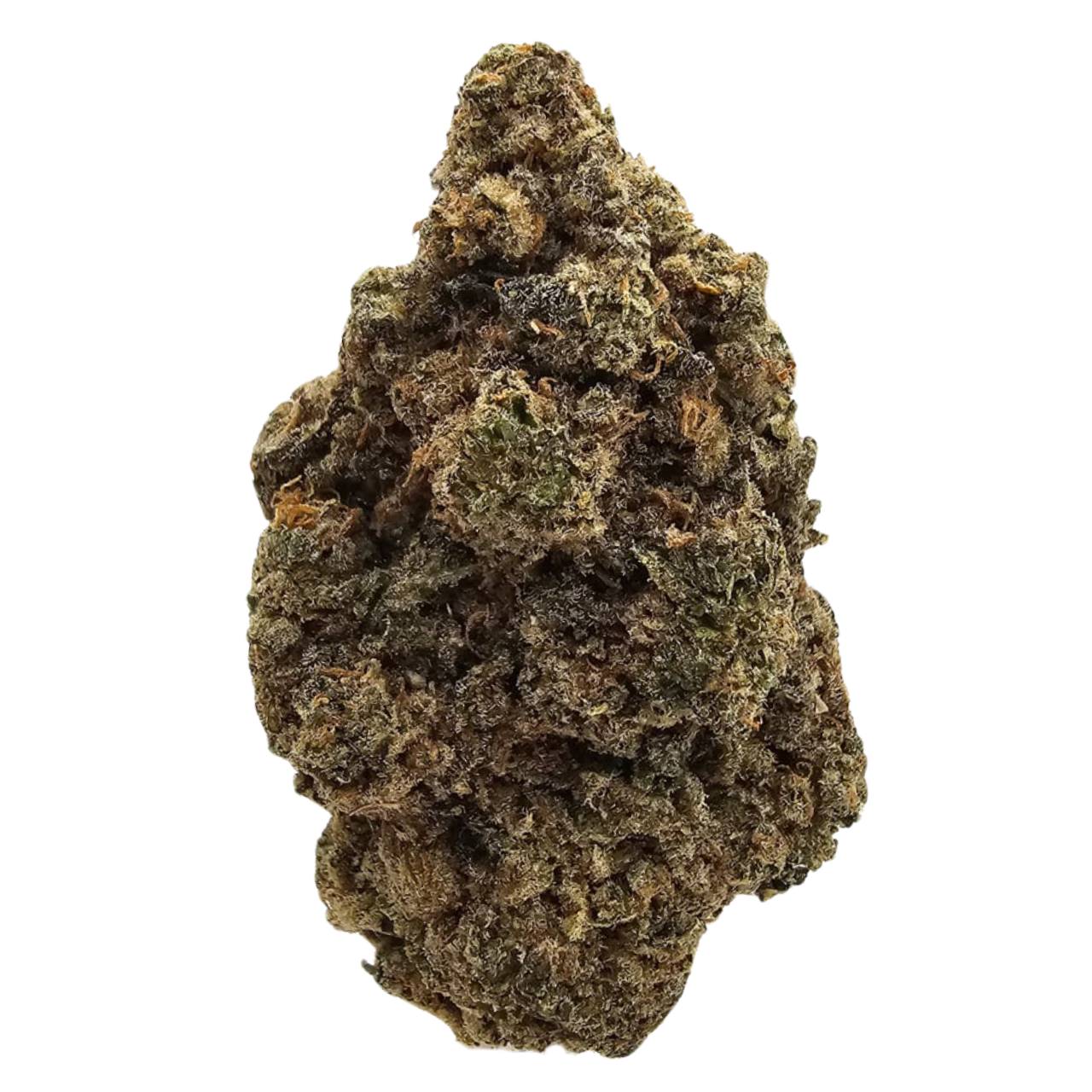 Skunk Cake THCA tea flower from Kushte, characterised by a sweet earthy aroma, distinctive traditional skunky funk and subtle musky, sour notes.