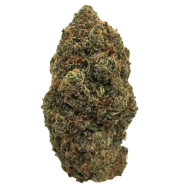 Fruit Loops Light Dep flower featuring intensely sweet fruity cereal aromas, sugary mixed fruit candy and a smooth creamy undertone.