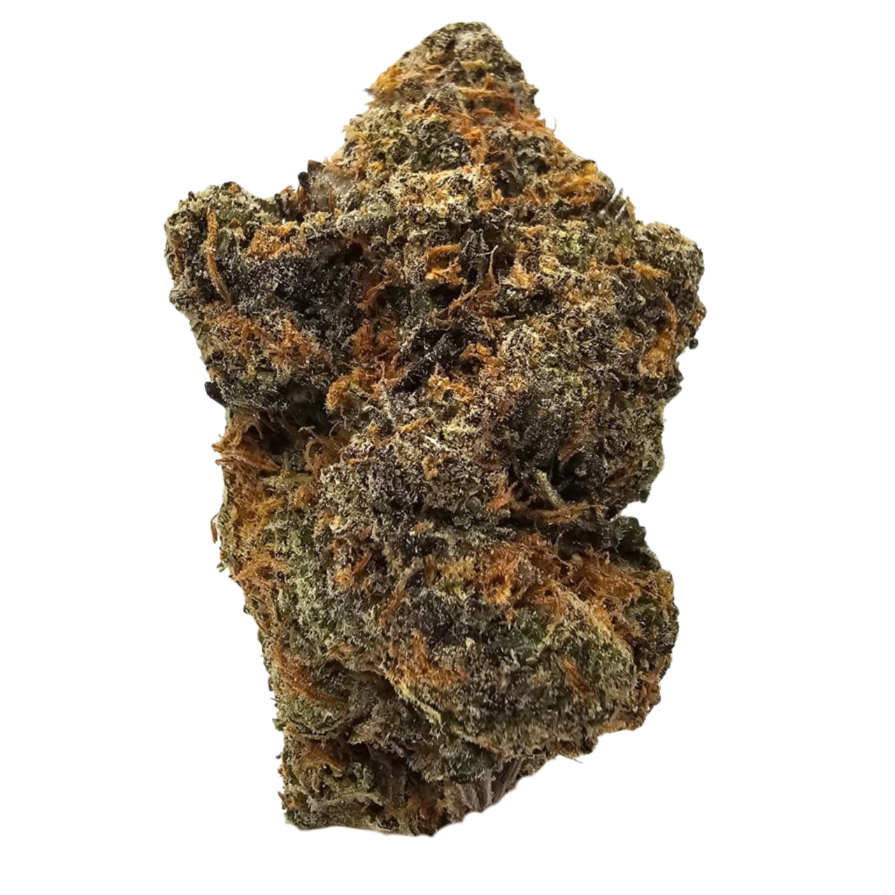 Watermelon Gushers THCA tea flower from Kushte with a sweet watermelon candy and sour gummy aroma profile.