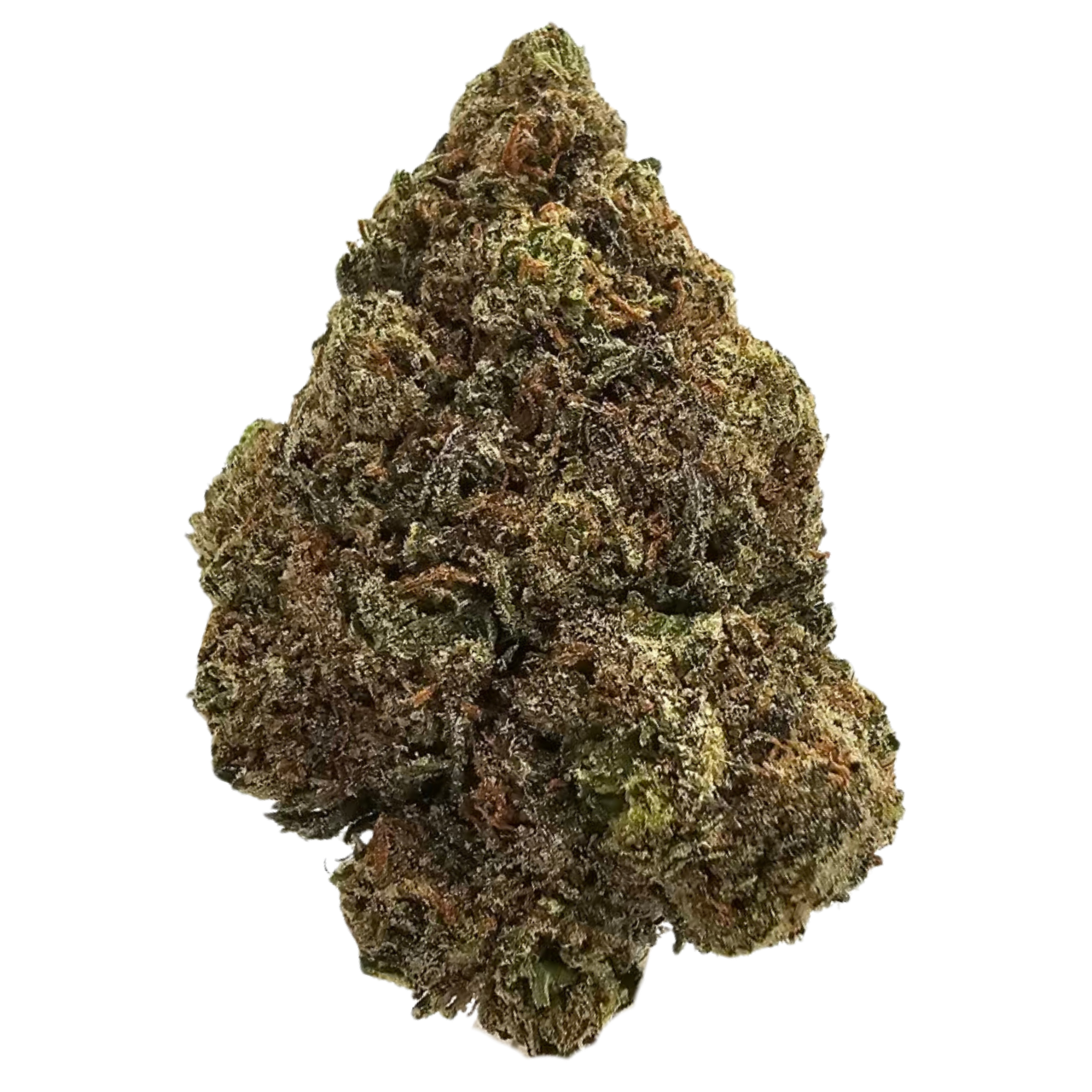 Zlurpee Light Dep flower featuring a rich, syrupy candy aroma with deep sugary sweetness and dark fruit-inspired notes.
