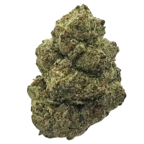 Biscotti Cake Light Dep THCA tea flower featuring a rich dessert-inspired aromatic profile of sweet baked biscuits, creamy vanilla, nutty undertones and earthy gas.
