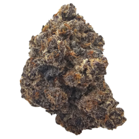 Black Mamba THCA tea flower from Kushte, a dark purple indica-dominant cultivar with sweet grape, berry and earthy Kush aromas.