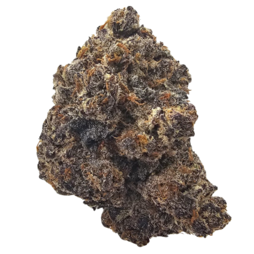 Black Mamba THCA tea flower from Kushte, a dark purple indica-dominant cultivar with sweet grape, berry and earthy Kush aromas.