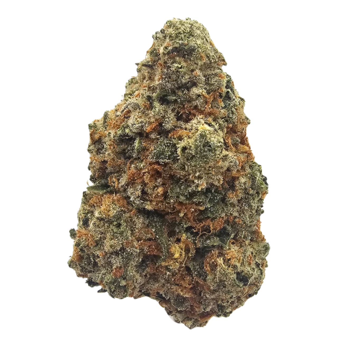 Blue Appleberry premium THCA tea flower from Kushte, featuring a sweet blueberry and crisp apple aromatic profile with soft floral notes and subtle earthy depth.