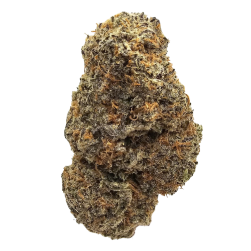 Candyland THCA Tea Flower from Kushte, featuring dense, compact green flowers with a heavily frosted appearance and an aromatic profile led by sweet florals, soft berry, honey, earthy spice and subtle gas.