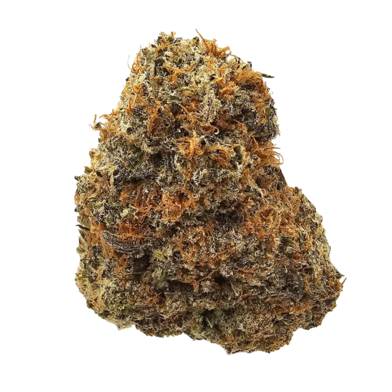 Candyland THCA Tea Flower from Kushte, featuring dense, compact green flowers with a heavily frosted appearance and an aromatic profile led by sweet florals, soft berry, honey, earthy spice and subtle gas.