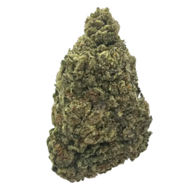 Cherry Bang Bang Light Dep THCA tea flower featuring a sweet cherry and red berry aromatic profile, complemented by citrus, creamy sweetness and earthy gas.