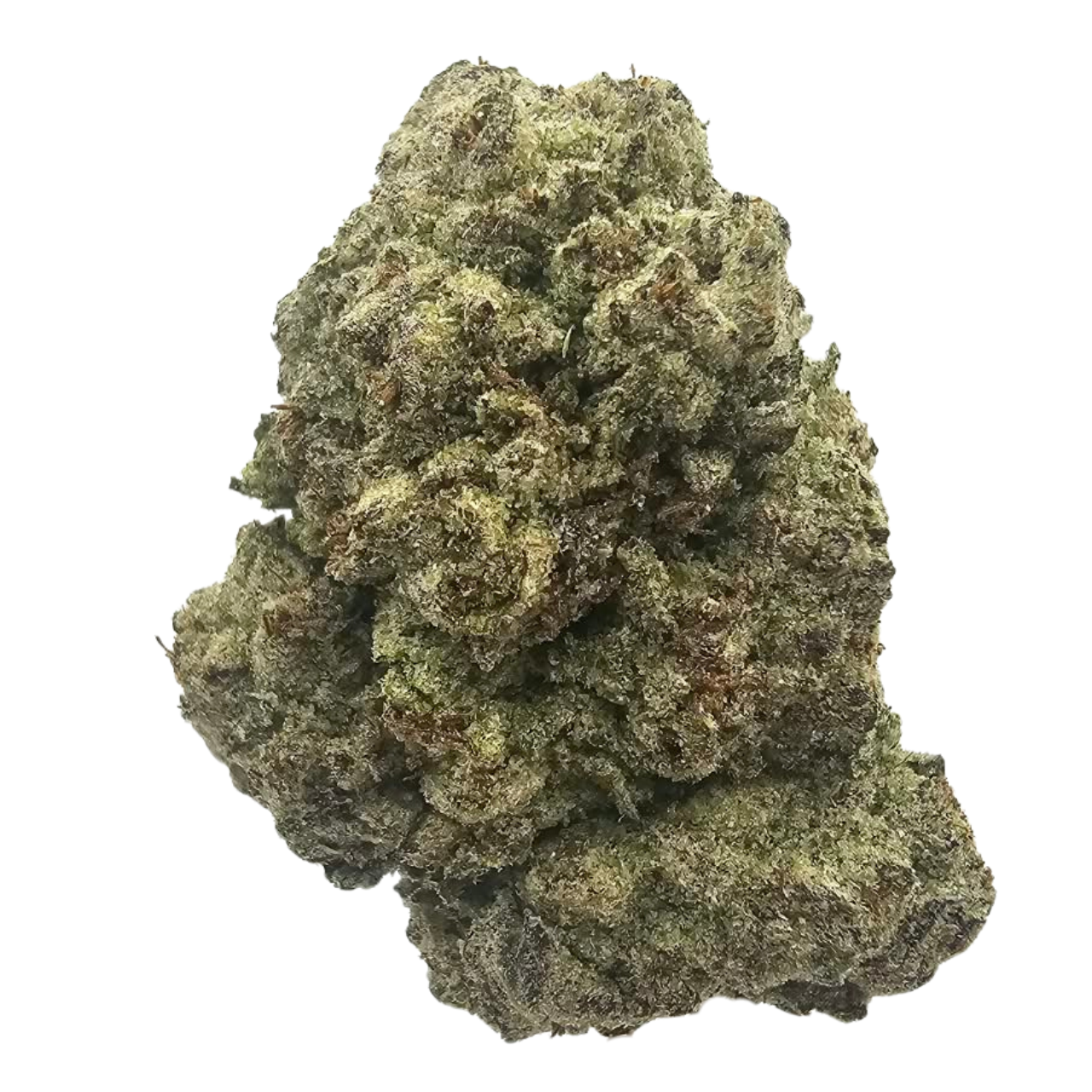 Donkey Butter THCA tea flower cultivated using light-deprivation growing techniques, featuring a rich aromatic profile of earthy diesel, buttery nuttiness and savoury funk.