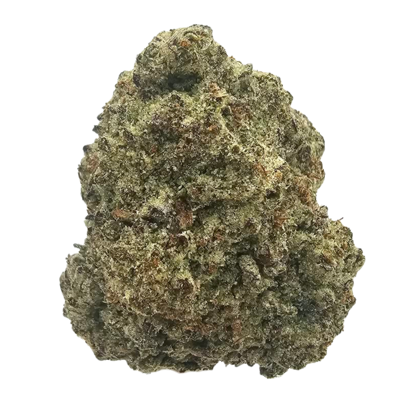 Donkey Butter THCA tea flower cultivated using light-deprivation growing techniques, featuring a rich aromatic profile of earthy diesel, buttery nuttiness and savoury funk.