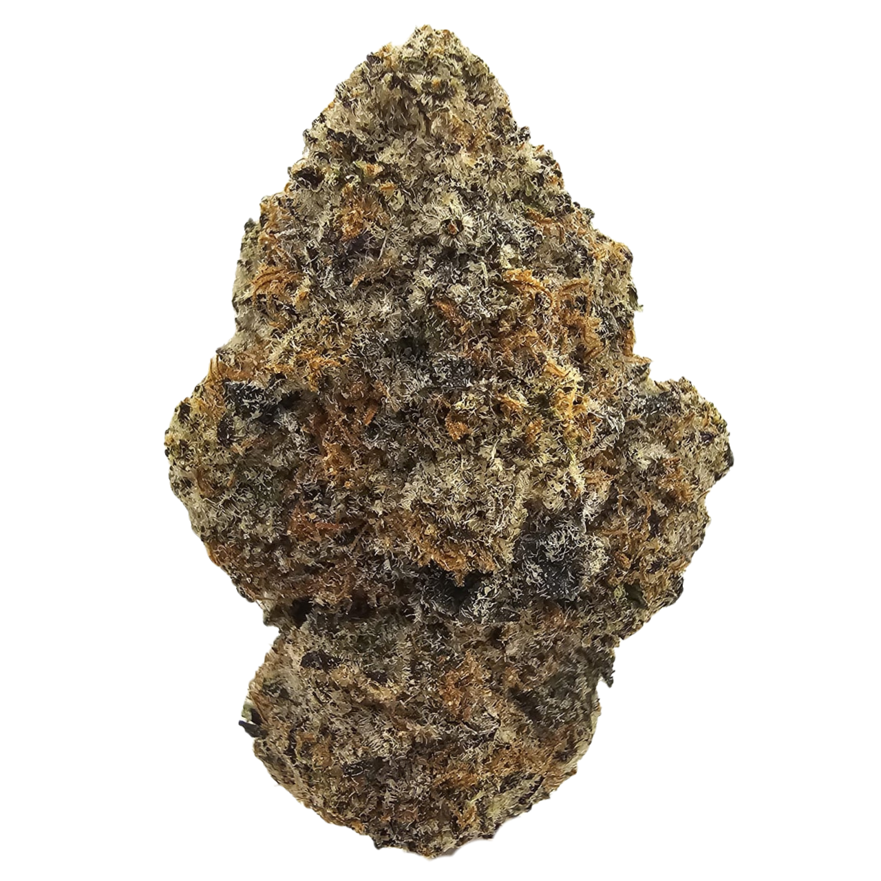 Gummy Buns THCA tea flower from Kushte, featuring a distinctive aromatic profile of honeyed sweetness, soft dough, toasted nuts, deep earthy undertones and warm spice.