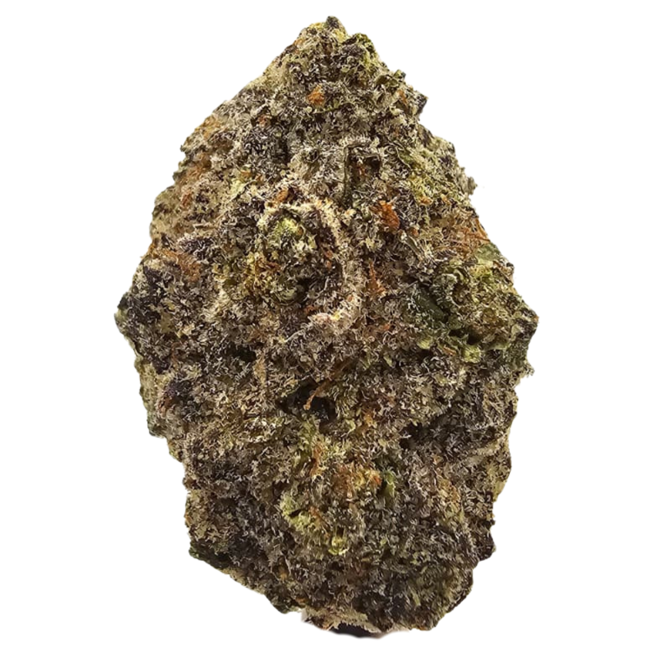 Krypton THCA Tea Flower from Kushte, displaying dark forest green colouring and heavy silver trichome coverage, with an aromatic profile characterised by sweet fuel, sharp chemical gas and subtle earthy Kush.