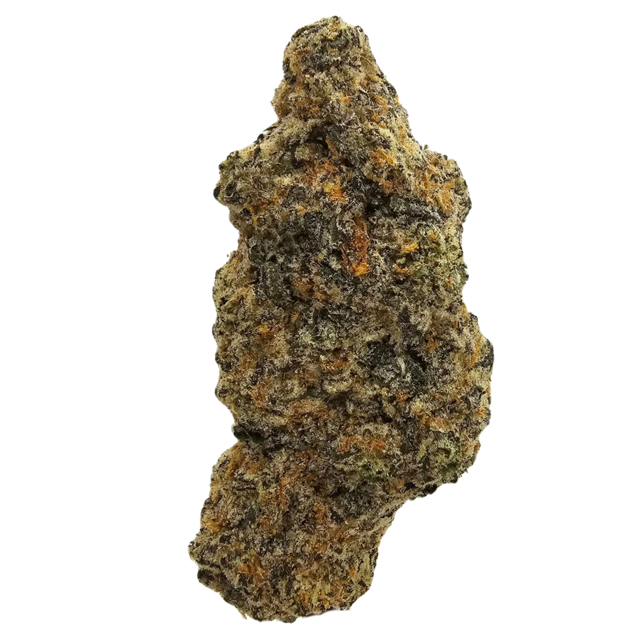 Image Description: Master Kush THCA flower showcasing classic indica-style structure, rich green colouring, frosty trichomes and a creamy, earthy kush aroma.