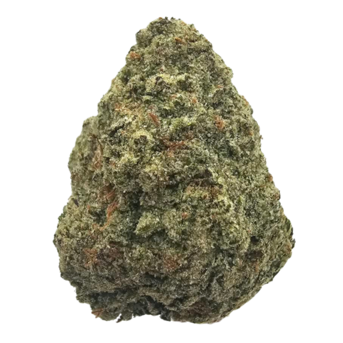 Melonade THCA tea flower cultivated using light-deprivation techniques, featuring a fruity aromatic profile of sweet melon, watermelon, lemon zest and tropical fruit.