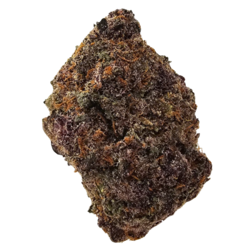 Purple Tangie THCA tea flower displaying green and purple hues, orange pistils and frosty trichomes.
