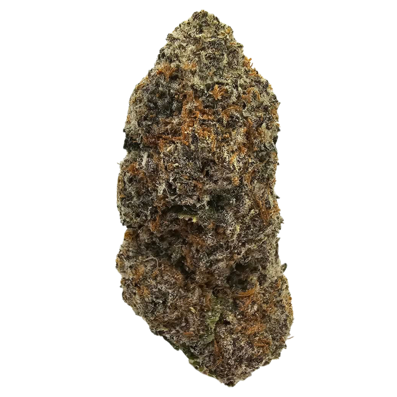 Sensi Star THCA flower, a classic indica-dominant strain with a deep earthy, grassy and herbal aroma complemented by subtle woody spice.