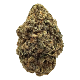 Skunk Cake THCA tea flower from Kushte, characterised by a sweet earthy aroma, distinctive traditional skunky funk and subtle musky, sour notes.