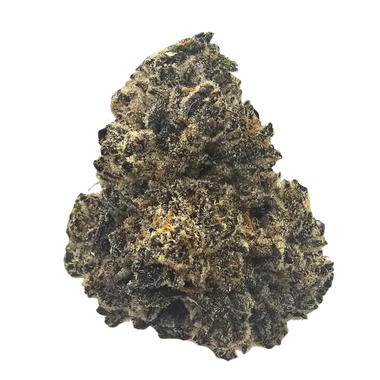 White Diesel premium THCA tea flower from Kushte, featuring a distinctive sweet diesel and pine-forward aromatic profile with subtle woody and earthy undertones.