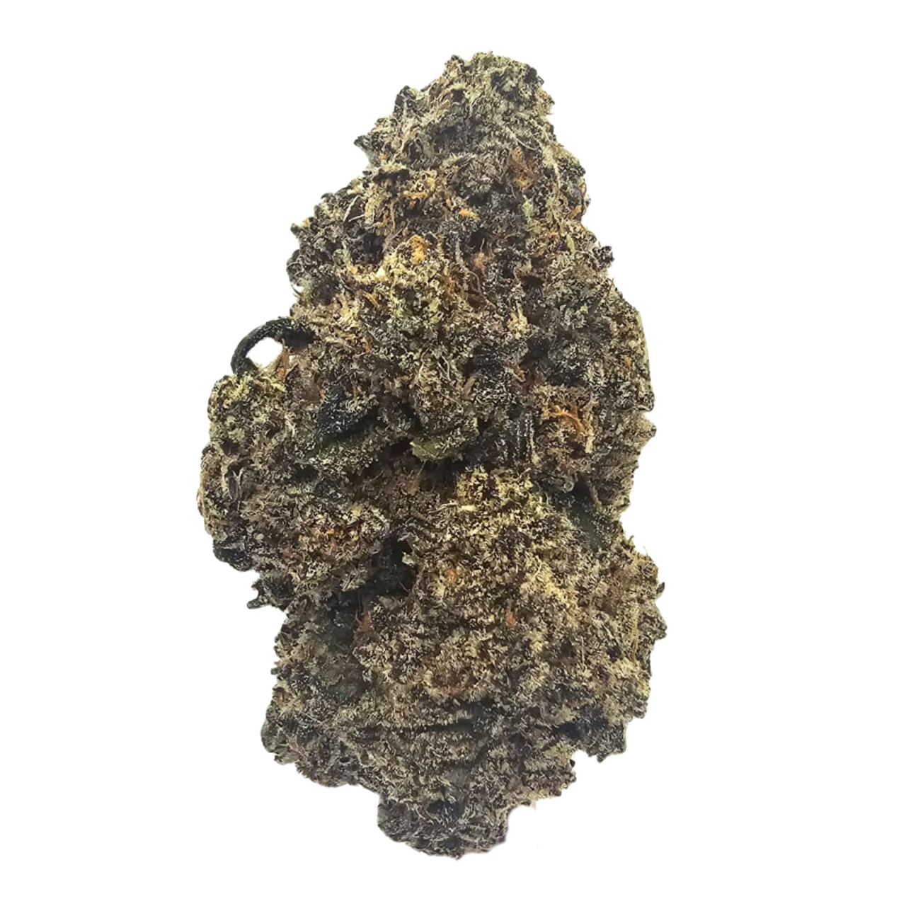 White Diesel premium THCA tea flower from Kushte, featuring a distinctive sweet diesel and pine-forward aromatic profile with subtle woody and earthy undertones.